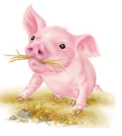 , живопись, искусство, картина, животные, поросенок