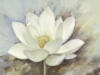 Схема вышивки «White Flower Close Up»