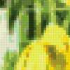 Букет жёлтых тюльпанов: предпросмотр