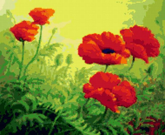 , poppies
