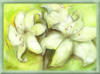 Схема вышивки «Белые лилии на зеленом»