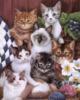 Схема вышивки «Cats»