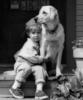 Схема вышивки «Мальчик и собака»