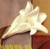 Схема вышивки «Белая лилия»