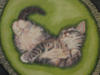 Схема вышивки «Котенок в зеленом»