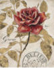 Схема вышивки «Красная роза»