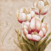 Схема вышивки &laquo;Тюльпаны&raquo;