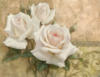 Схема вышивки «Три розы слева»