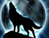 Схема вышивки «Волк, воющий на луну»