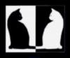 Схема вышивки «Черно белые кошки»