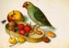 Схема вышивки «Попугай и фрукты»