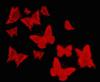 Схема вышивки «Бабочки на чёрном фоне»
