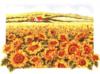 Схема вышивки «Подсолнухи цветут»