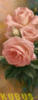 Схема вышивки «Розовые розы 1»