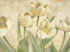 Белые тюльпаны : оригинал