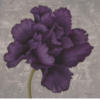 Схема вышивки «Фиолетовый цветок 1»