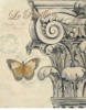 Бабочка и деталь колонке: оригинал