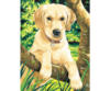 Схема вышивки &laquo;Лабрадор&raquo;