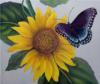 Схема вышивки &laquo;Бабочка у подсолнуха&raquo;