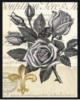 Схема вышивки «Роза 2»