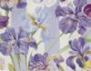 Схема вышивки &laquo;Ирисы&raquo;