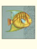 Схема вышивки «Тропическая рыбка 1»