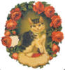 Схема вышивки «Кошка и розы -винтаж»