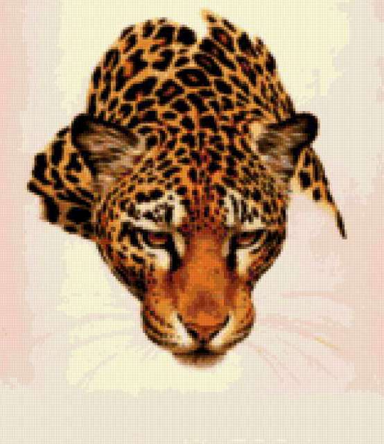 Портрет тигра, портрет, тигр, хищник, зверь