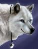 Схема вышивки «Белый волк с кулоном»