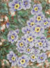 Схема вышивки «Flowers - Forgrt-me-nots»
