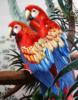 Схема вышивки «Пара попугаев»