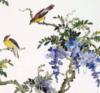 Схема вышивки «Птички невелички»