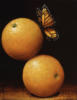 Схема вышивки «Бабочка на апельсинах»