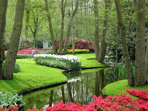 , пейзаж, парки, деревья, ручей, цветы