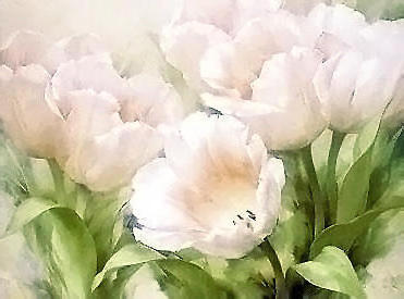 Variant 1, цветы, cvety