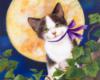 Схема вышивки «Лунный котенок»