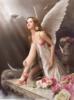 Схема вышивки «Девушка ангел»