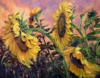 Схема вышивки &laquo;Подсолнухи&raquo;