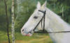 Схема вышивки «White horse»