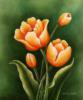 Схема вышивки &laquo;Тюльпаны&raquo;