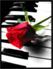 Фортепиано и роза: оригинал