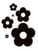 Схема вышивки «Черно-белые цветочки»