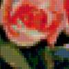 Букет роз в кружке: предпросмотр
