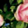 Букет розовых роз: предпросмотр