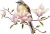 Схема вышивки «Ptica i magnolia»