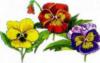 Схема вышивки &laquo;Цветы&raquo;