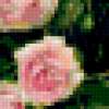 Букет роз и лаванды: предпросмотр