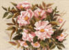 Схема вышивки «Розовые цветы»