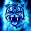 Синий тигр: оригинал