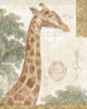Схема вышивки «Giraf»
